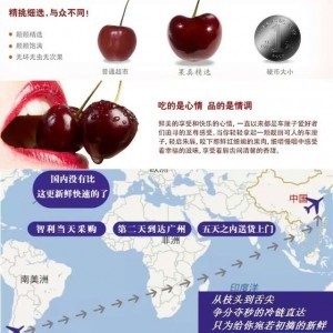 南半球車?yán)遄诱?dāng)季？智利種植商對(duì)國(guó)內(nèi)傳聞啼笑皆非